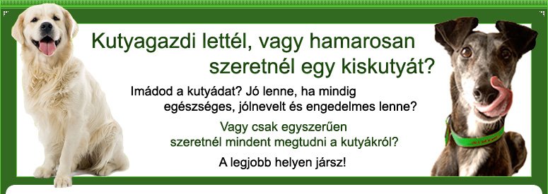 Kutyagazdi lettl, vagy szeretnl egy kiskutyt? Imdod a kutydat, kutykat? Egszsges, jlnevelt s engedelmes kutya. Szeretnl mindent megtudni a kutykrl? Itt megtallsz mindent, ami kutya!